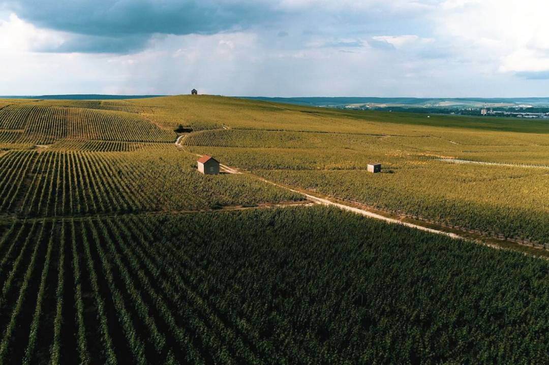 An advanced factory in the heart of Champagne